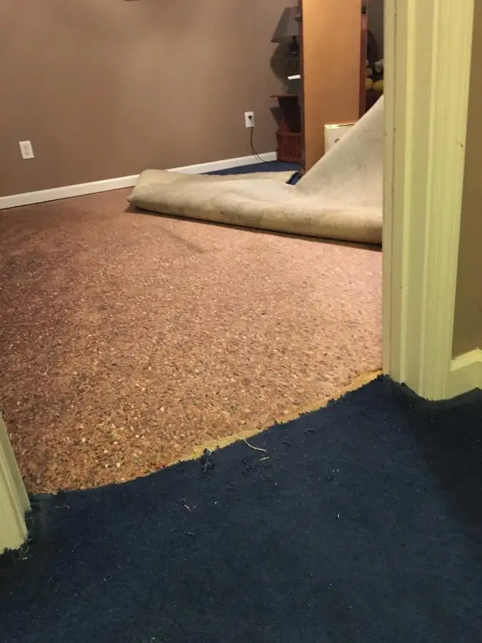 Carpet pad removal revealing water damage during Drying & Dehumidification in Pleasant Hills