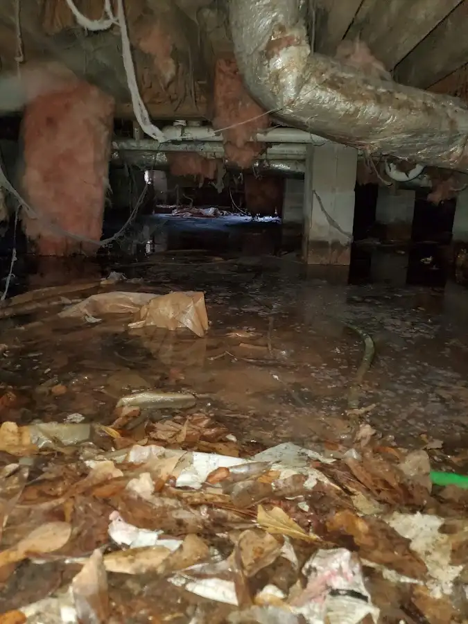 Crawl space flood assessment for Commercial Water Damage Restoration in Pleasant Hills